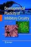 Developmental Plasticity of Inhibitory Circuitry