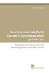 Das chromosomale ParAB System in Corynebacterium glutamicum