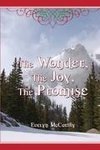 The Wonder, the Joy, the Promise Stories for Christmas