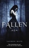 Fallen 01