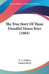 The True Story Of Those Dreadful Mouse Boys (1884)