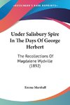 Under Salisbury Spire In The Days Of George Herbert