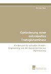 Optimierung einer mikrobiellen Transglutaminase