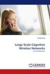 Large Scale Cognitive Wireless Networks