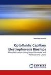 Optofluidic Capillary Electrophoresis Biochips