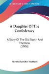 A Daughter Of The Confederacy