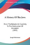 A History Of The Jews