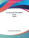 A Lexicon Of The Hebrew Roots (1843)