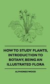 How to Study Plants, Introduction to Botany, Being an Illustrated Flora