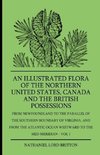 An Illustrated Flora Of The Northern United States, Canada And The British Possessions - From Newfoundland To The Parallel Of The Southern Boundary Of Virginla, And From The Atlantic Ocean Westward To The 102D Meridian - Vol 1