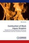 Combustion of Black Liquor Droplets