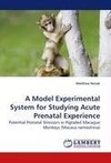 A Model Experimental System for Studying Acute Prenatal Experience