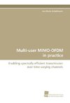 Multi-user MIMO-OFDM in practice