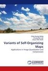 Variants of Self-Organizing Maps