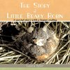 The Story of Little Beaky Robin