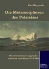 Die Metamorphosen des Polareises