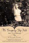 The Scrapping Sky Pilot