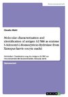 Molecular characterization and identification of antigen 32-5B6 as enzyme S-Adenosyl-L-Homocystein-Hydrolase from Xenopus laevis oocyte nuclei