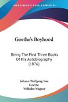 Goethe's Boyhood