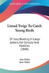 Limed Twigs To Catch Young Birds