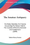 The Amateur Antiquary