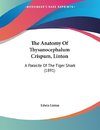 The Anatomy Of Thysanocephalum Crispum, Linton