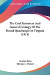 The Coal Resources And General Geology Of The Pound Quadrangle In Virginia (1914)