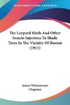 The Leopard Moth And Other Insects Injurious To Shade Trees In The Vicinity Of Boston (1911)