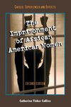 The Imprisonment of African American Women