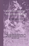 How To Find And Name Wild Flowers - Being A New Method Of Observing And Identifying Upwards Of 1,200 Species Of Flowering Plants In The British Isles