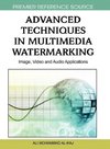 Advanced Techniques in Multimedia Watermarking