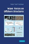 Wave Forces on Offshore Structures