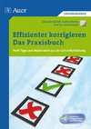 Effizienter korrigieren - Das Praxisbuch