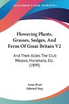 Flowering Plants, Grasses, Sedges, And Ferns Of Great Britain V2