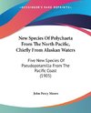 New Species Of Polychaeta From The North Pacific, Chiefly From Alaskan Waters