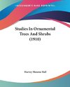 Studies In Ornamental Trees And Shrubs (1910)