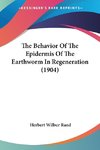 The Behavior Of The Epidermis Of The Earthworm In Regeneration (1904)