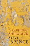 A Curious Shipwreck