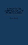 Black Youths, Delinquency, and Juvenile Justice