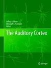 The Auditory Cortex