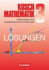 Mathematik. Lösungsbuch zu Teil 3: Differentialrechnung