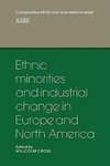 Ethnic Minorities and Industrial Change in Europe and North America