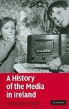 A History of the Media in Ireland