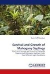 Survival and Growth of Mahogany Saplings