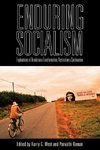 Enduring Socialism