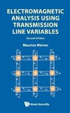 Electromagnetic Analysis Using Transmission Line Variables