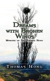 Dreams with Broken Wings