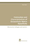 Fabrication and Characterization of Extracellular Matrix Nanofibrils