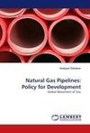 Natural Gas Pipelines: Policy for Development