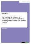 Untersuchung der Bildung von 4-Hydroxyvaleriansäure innerhalb des Lävulinsäuremetabolismus von 